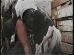 Horse xxx banging a gay's butthole